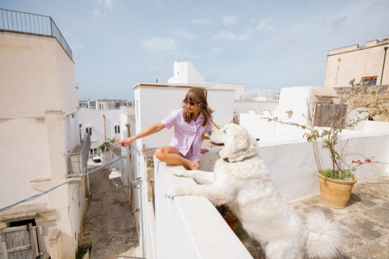 Hiszpania – Twoje drugie domowe słońce: Dlaczego warto inwestować na południu Europy?